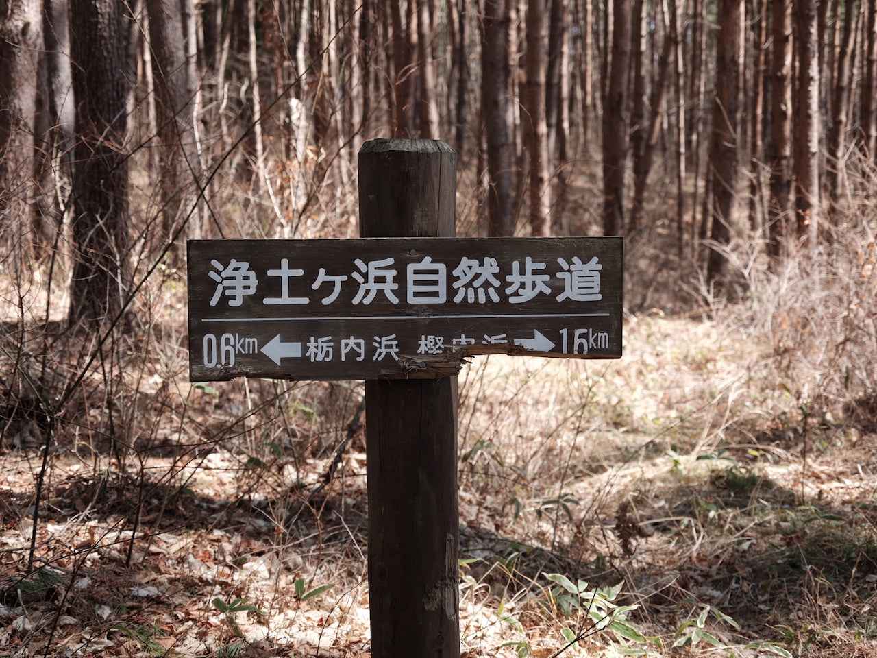 「MCT100km宮古セクションでとウルトラライト・ハイキングを堪能する(2)」