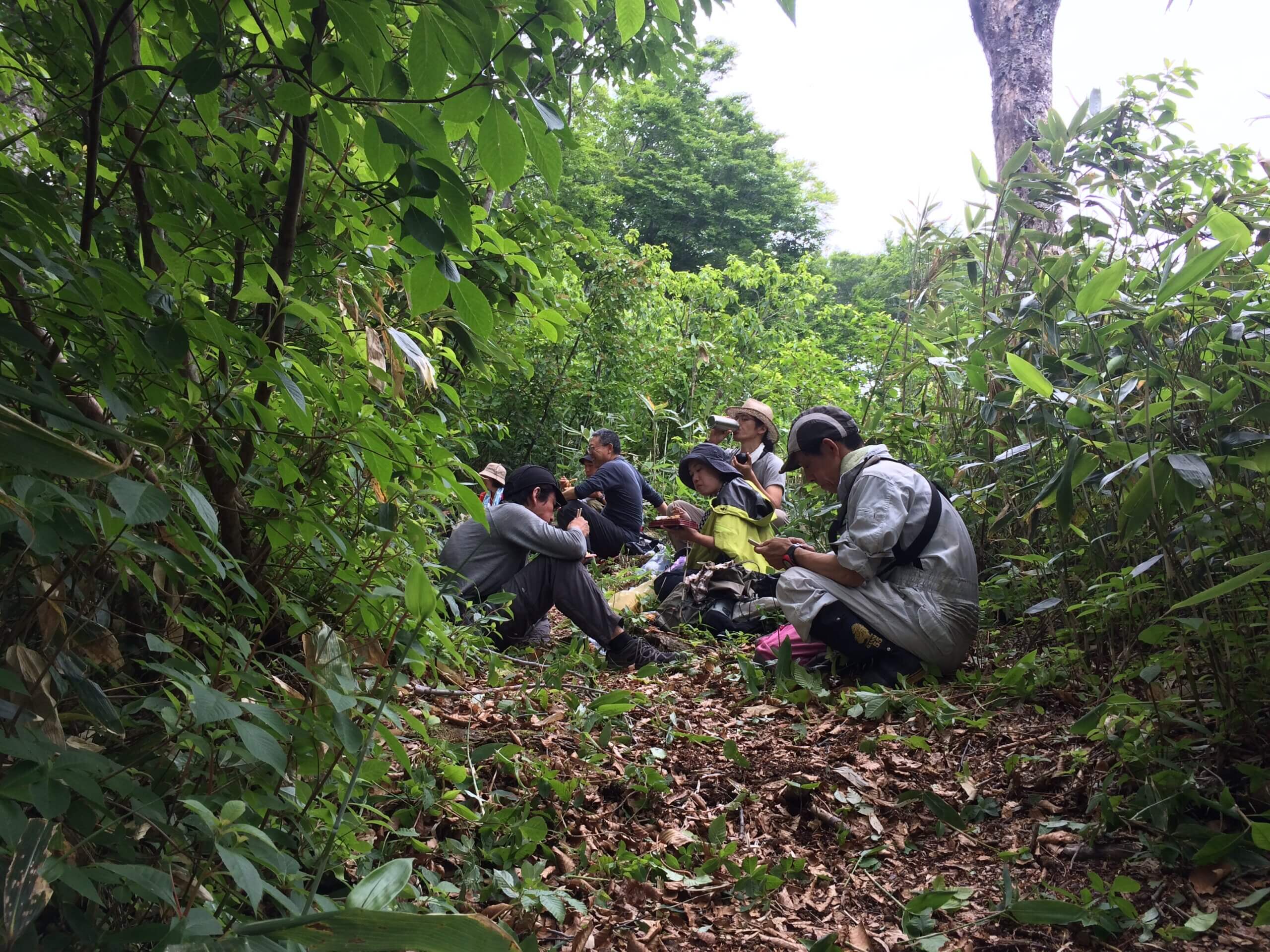 はじめてのUL 2018〈秋〉アフターリポート