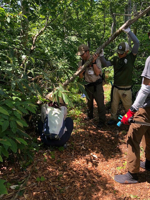 五国 Long Distance Hiking Journal Part 1 〜“五国”とロングトレイルについて