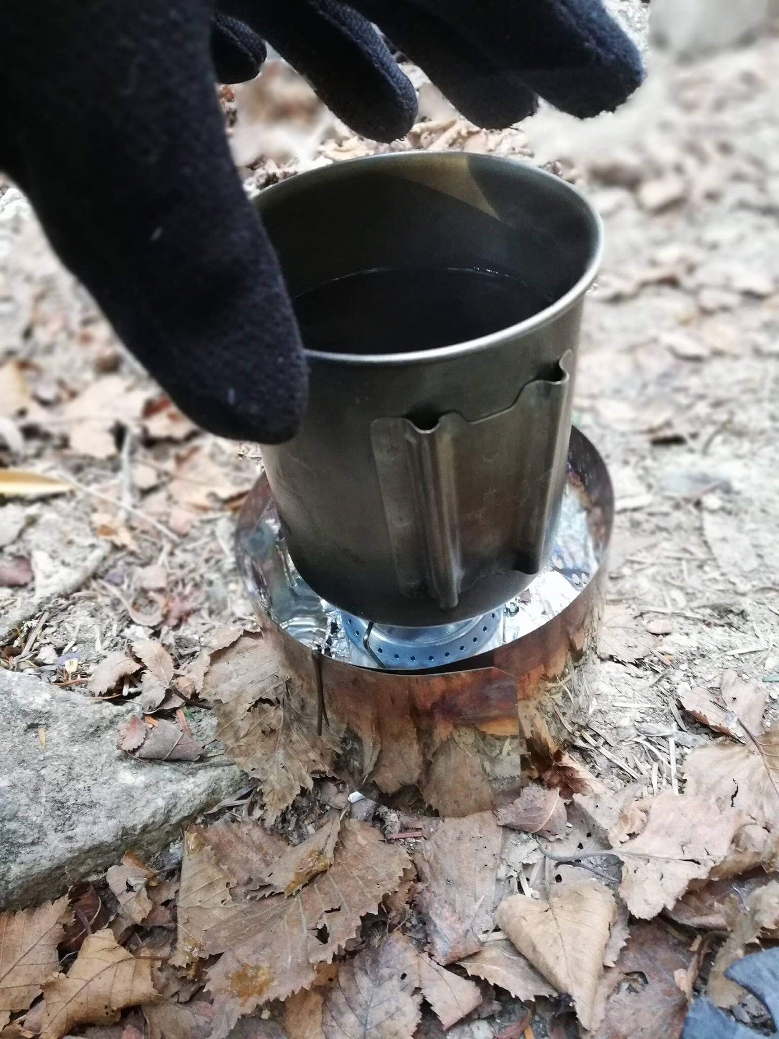 把手をめぐる深い森