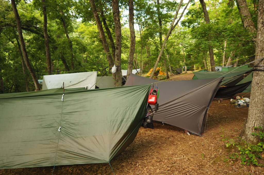 第6回HD&SEツアー『天竜川 PR3』<br/>アフターリポート