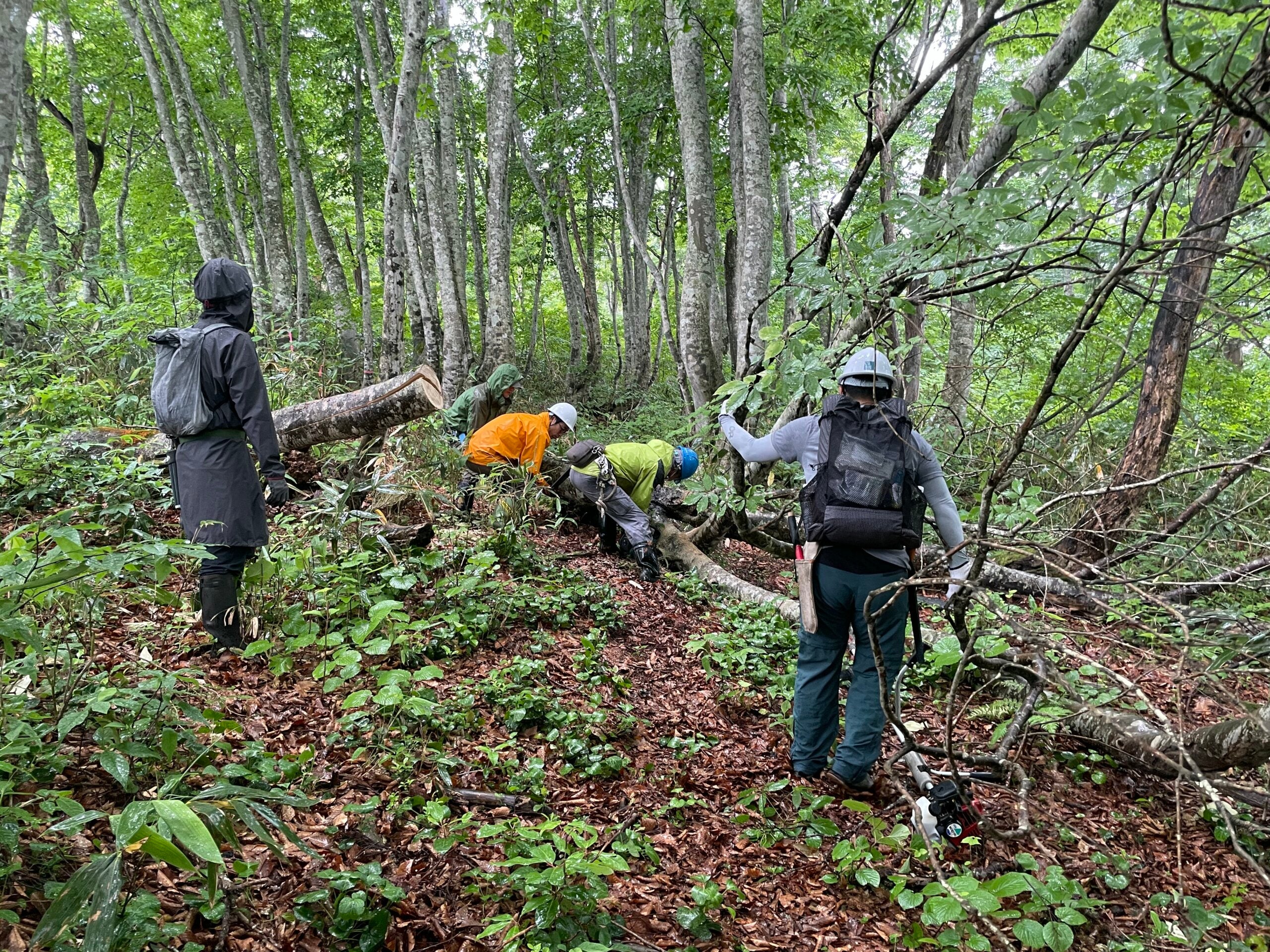 信越トレイル ハイキング&整備 2022 アフターリポート