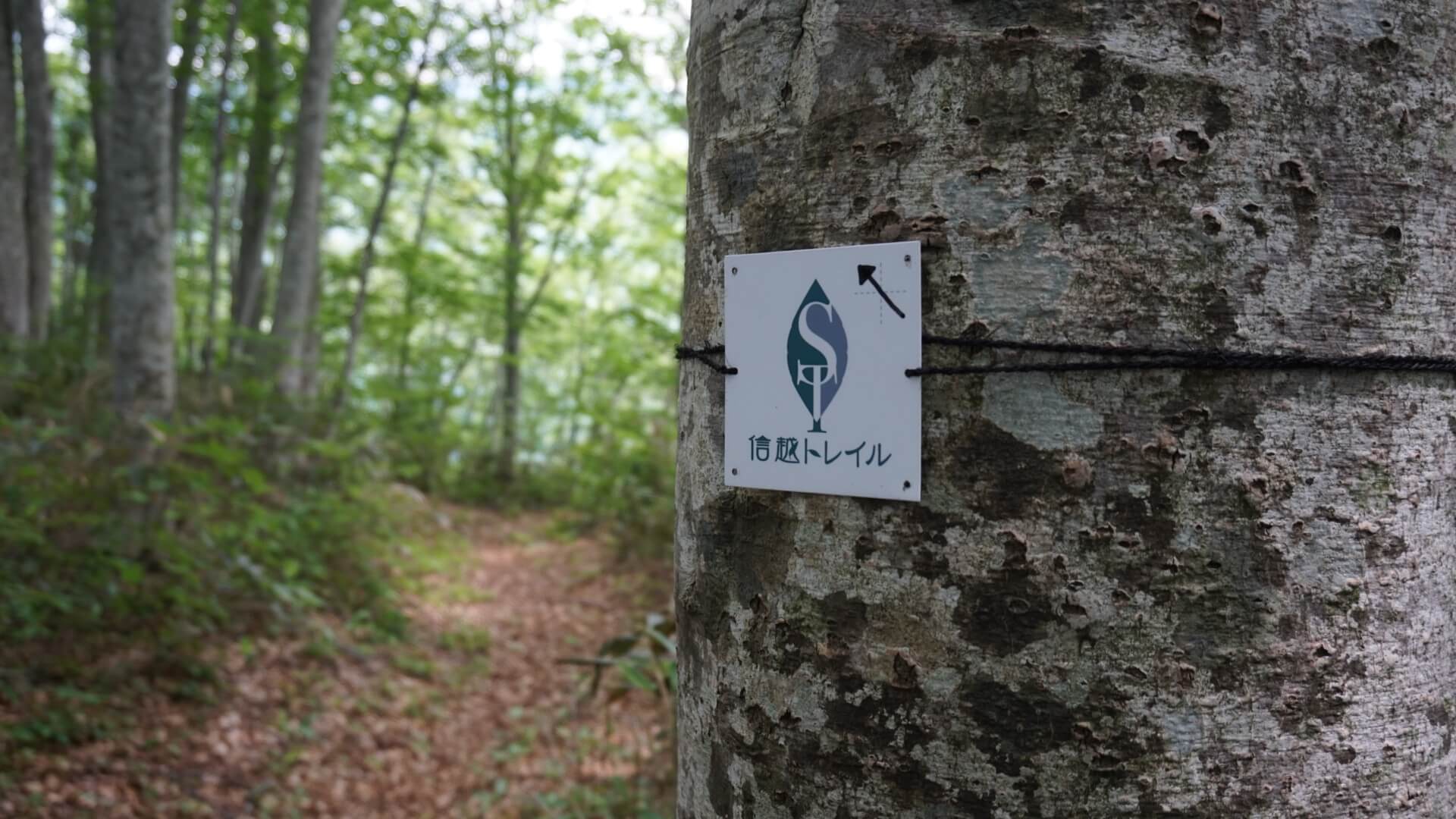 名取トレイルセンター Trail Days イベントリポート