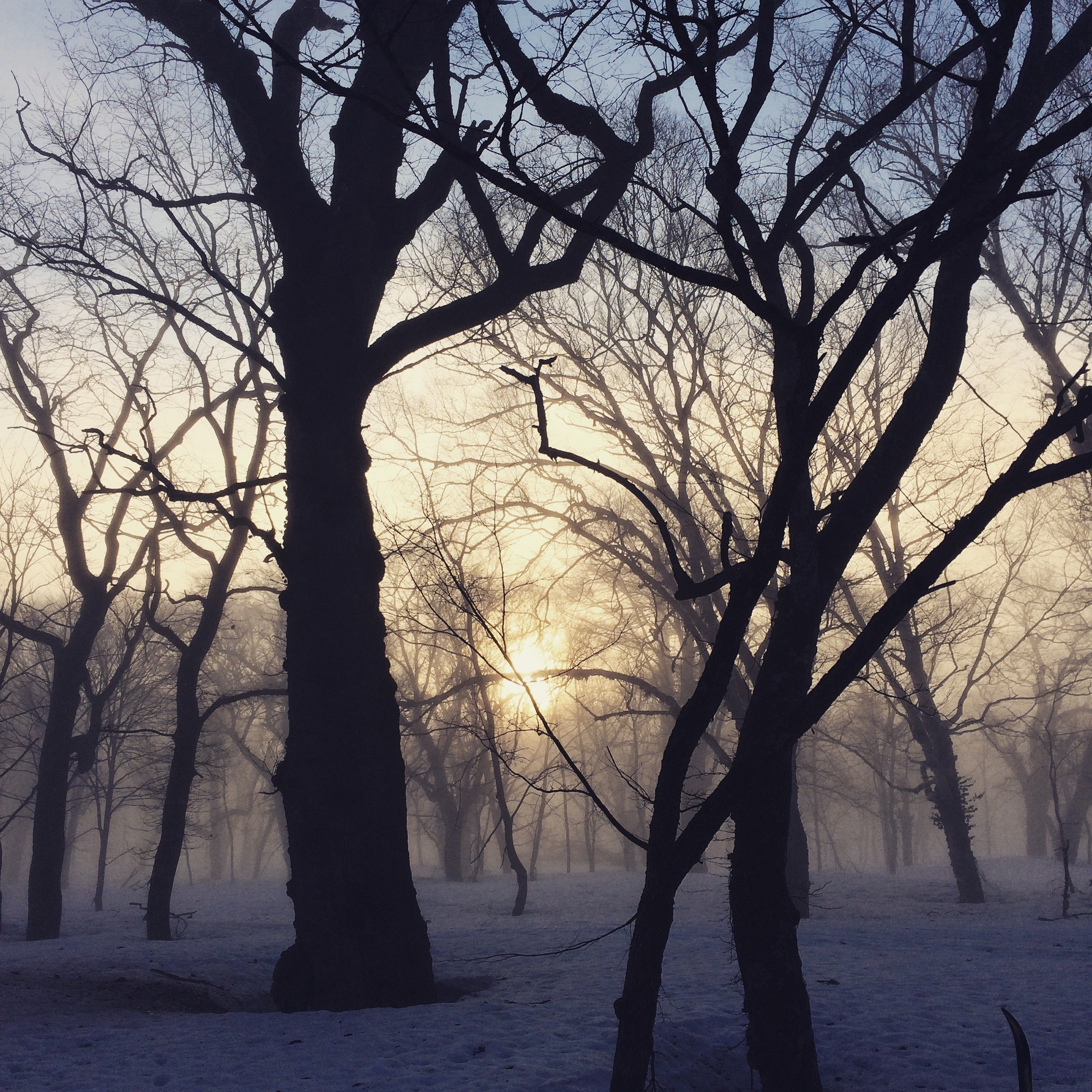 年末年始の営業について