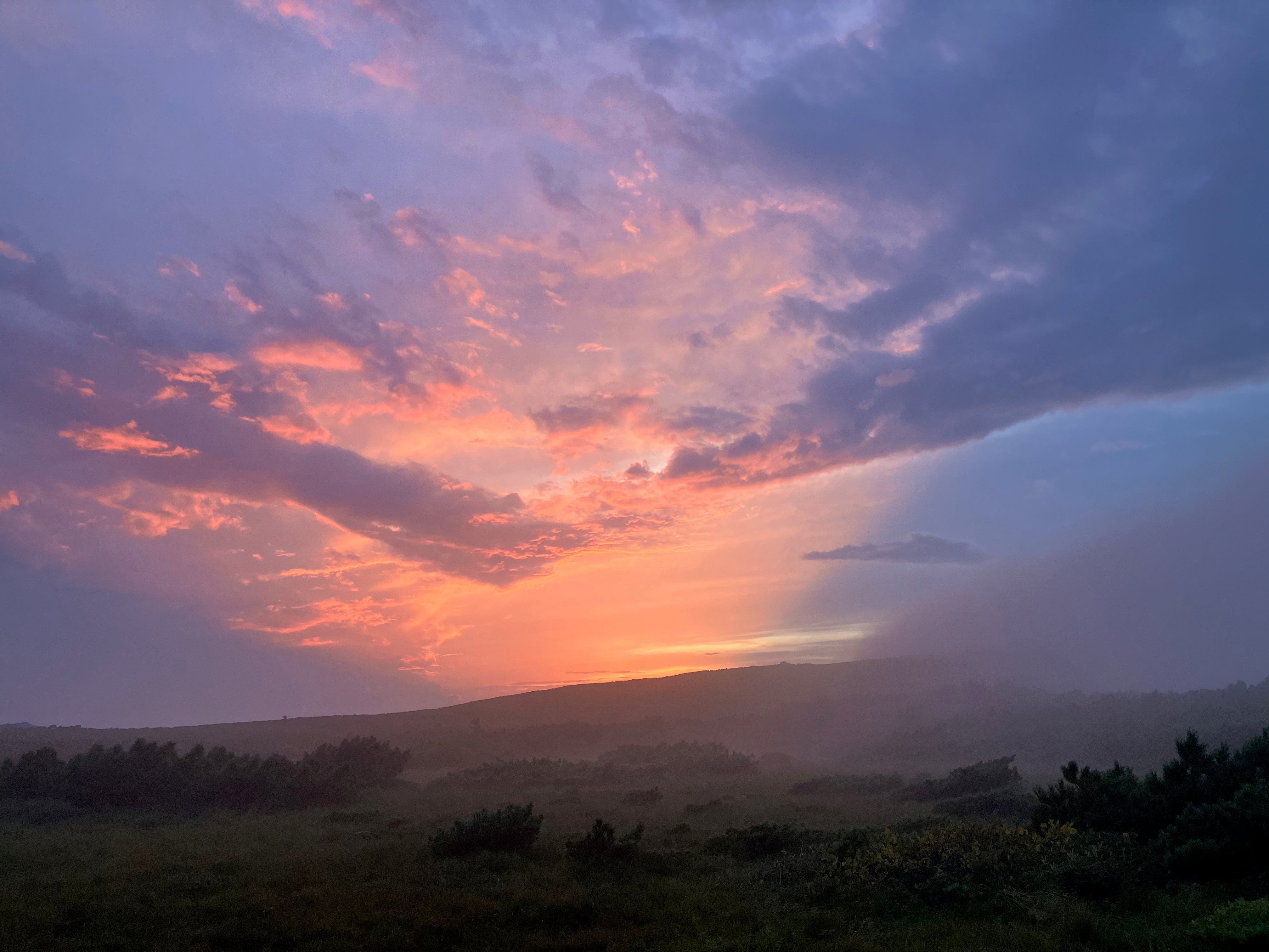 新年あけまして<br>おめでとうございます