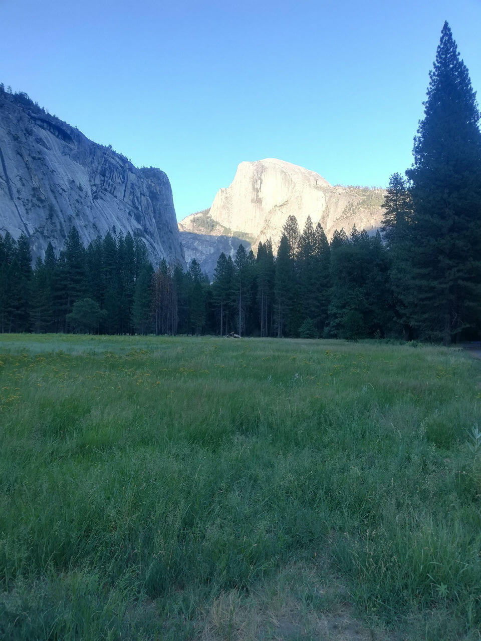 シエラ通信 2018 no.1 【Yosemite Valley】