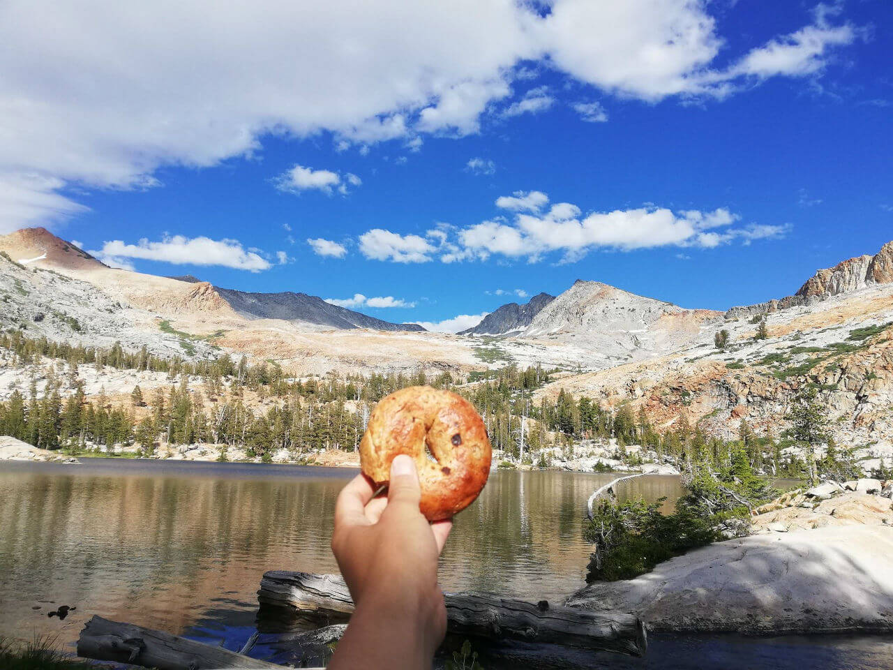 JMT2026相談会 vol.2 3月29日開催