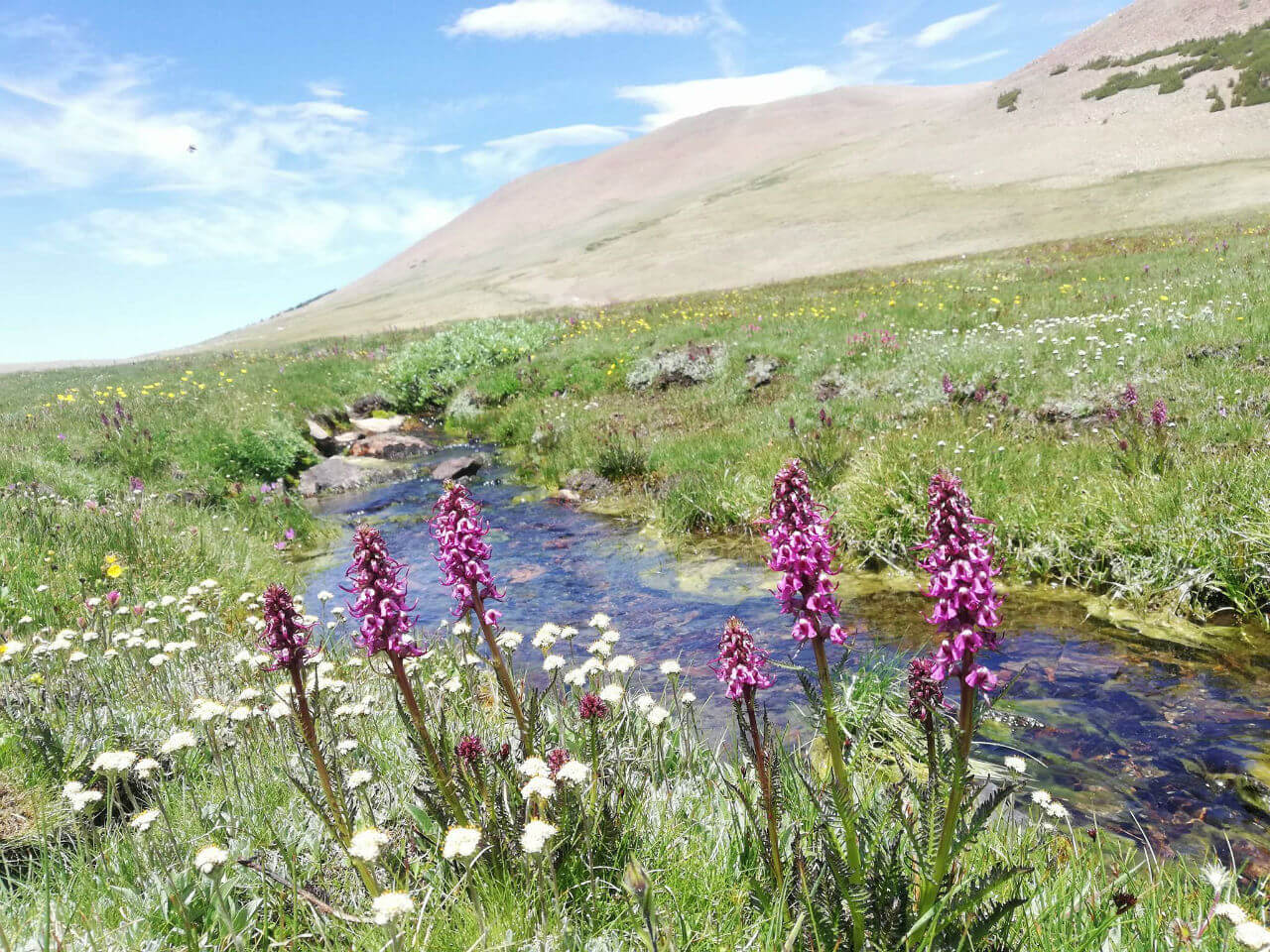 信越トレイルの整備ボランティア2013に参加してきました。