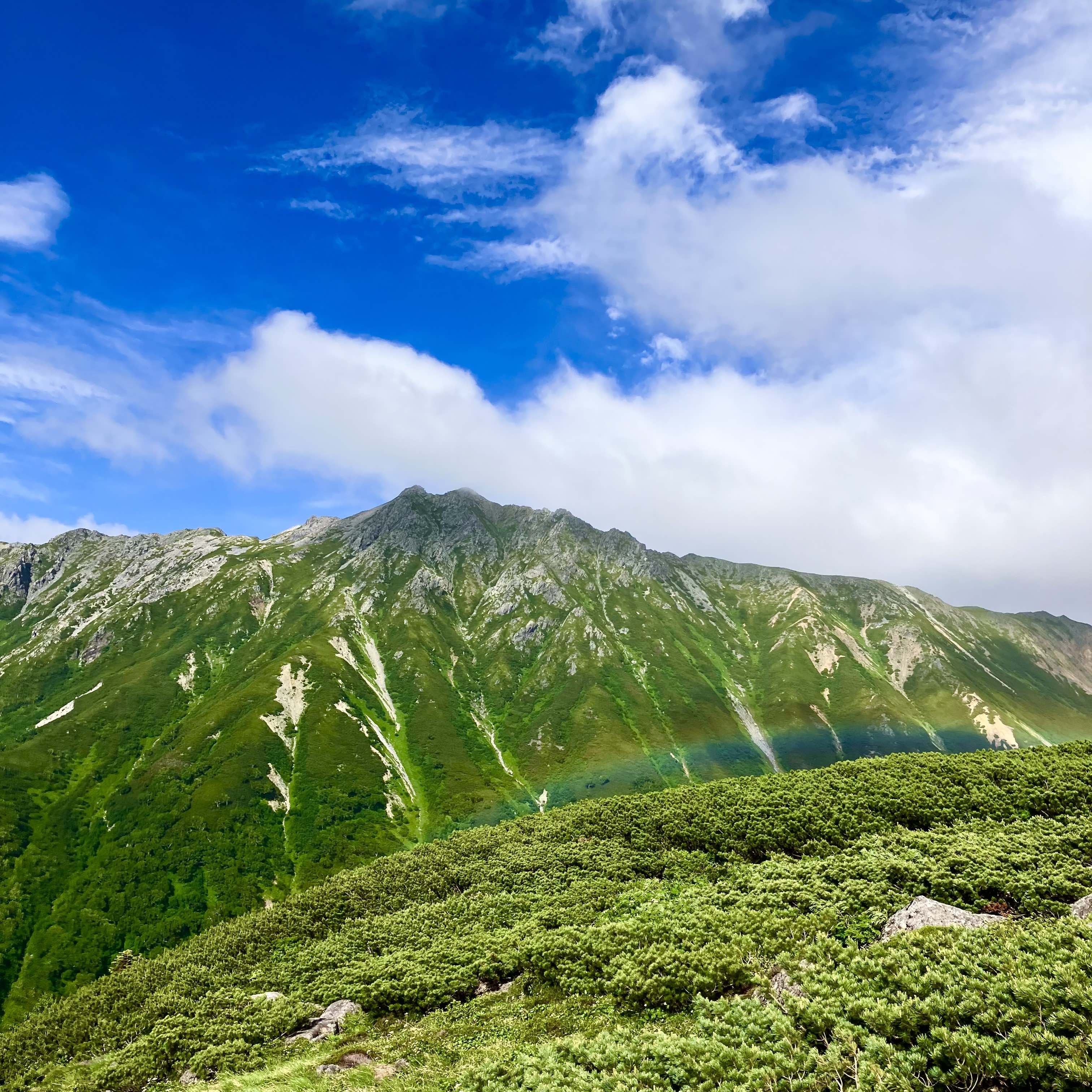 ハイカーズデポ夏季休業のおしらせ