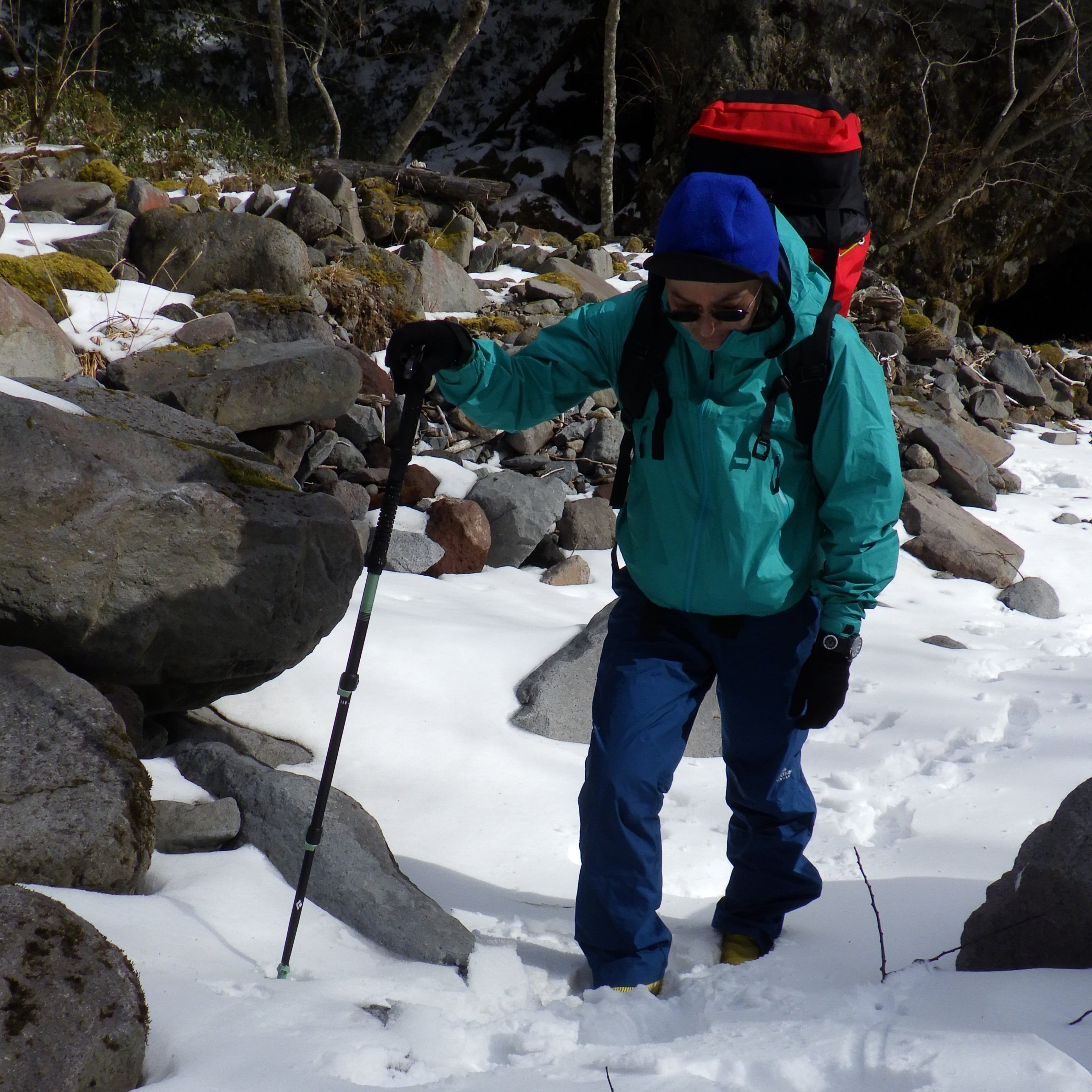 EXPEDITION 3 Whippet