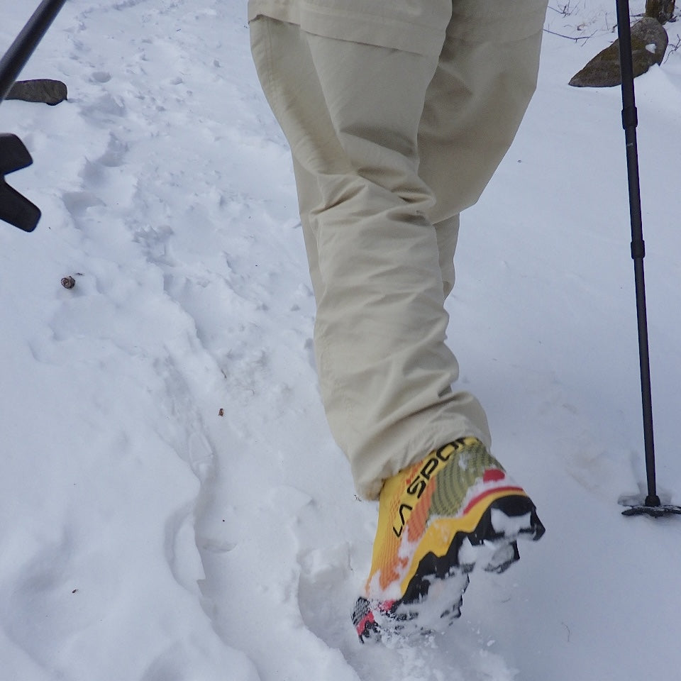 Aequilibrium Speed GTX