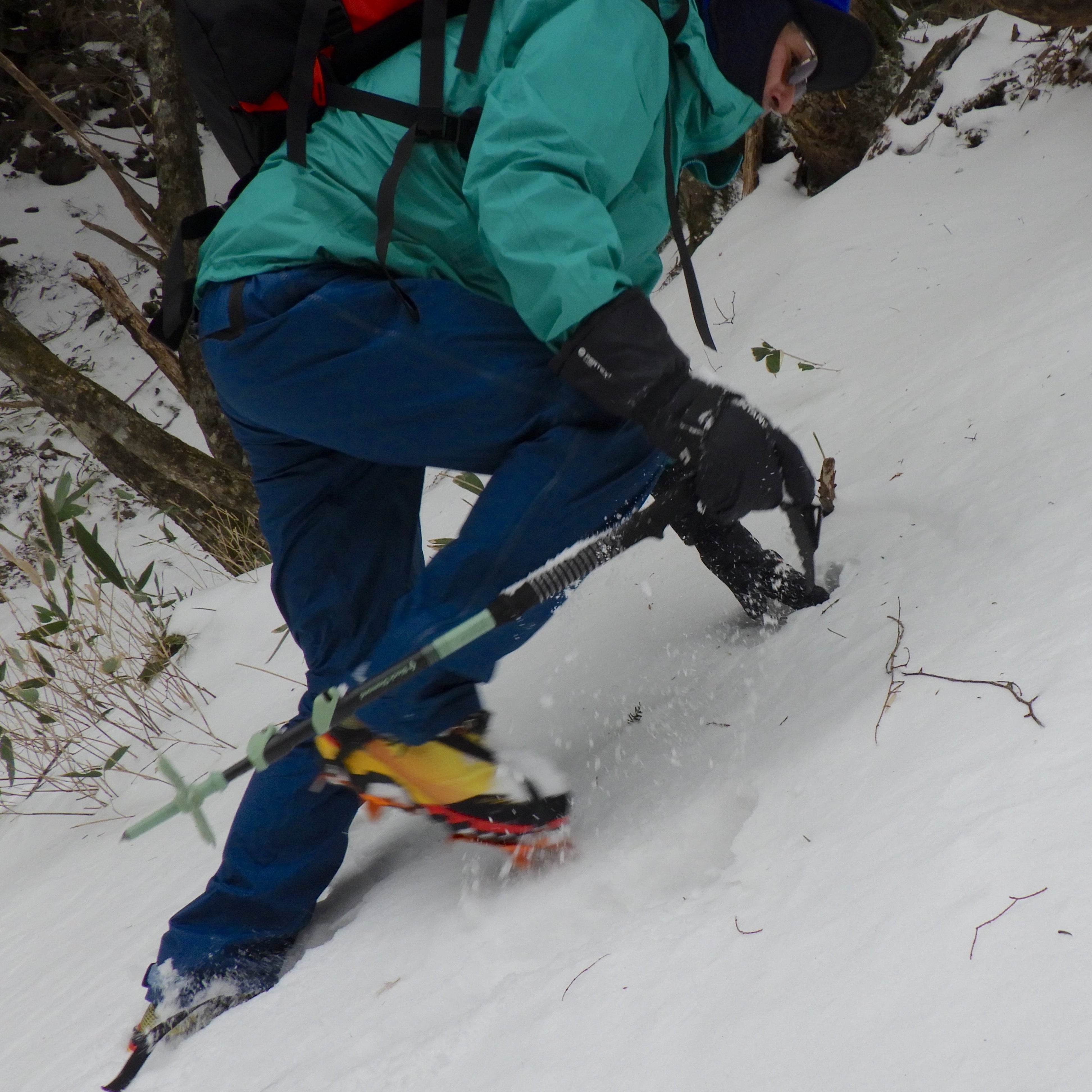 EXPEDITION 3 Whippet