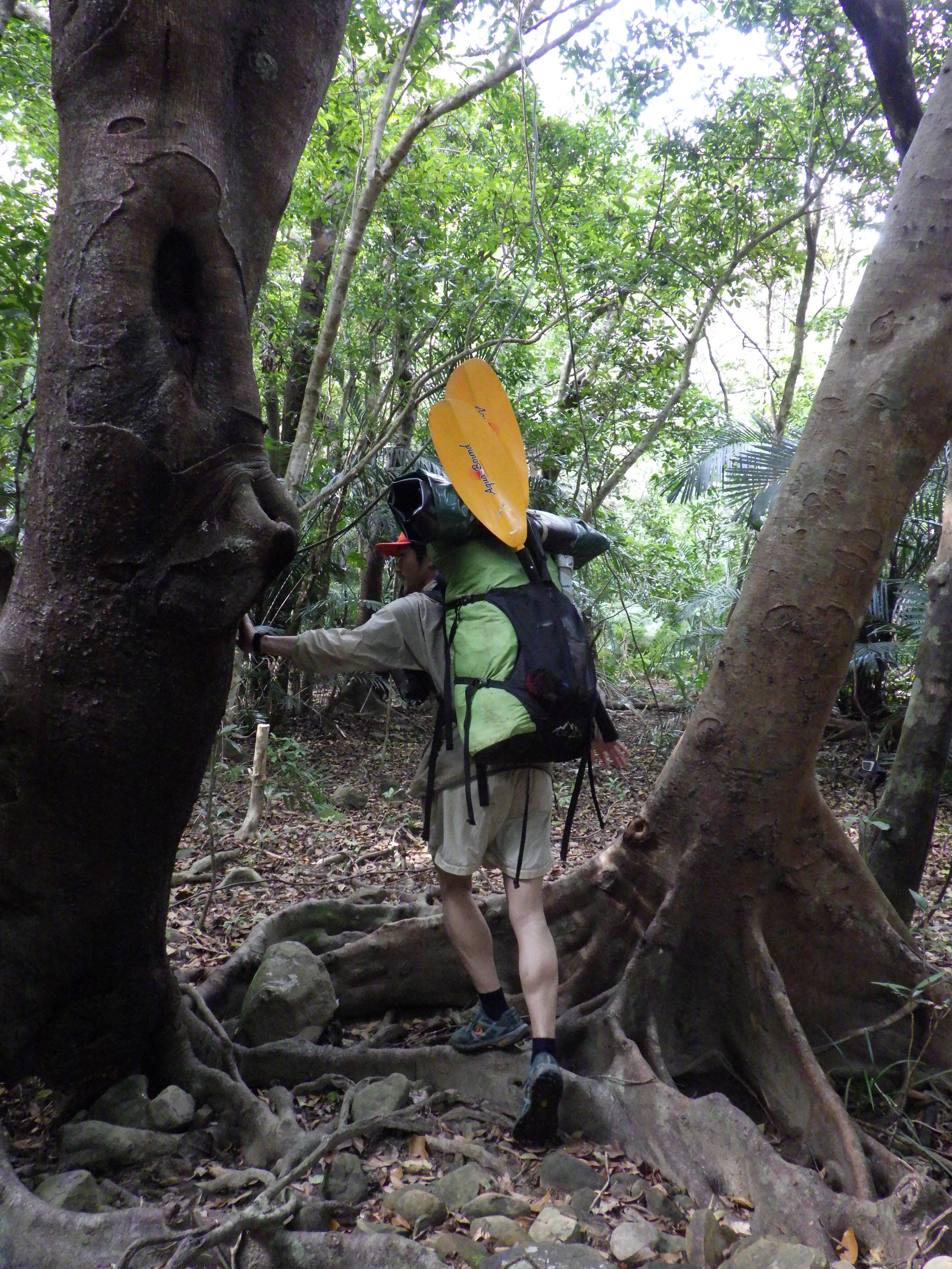 Manta Ray Hybrid 4-Piece Posi-Lok™ Paddle