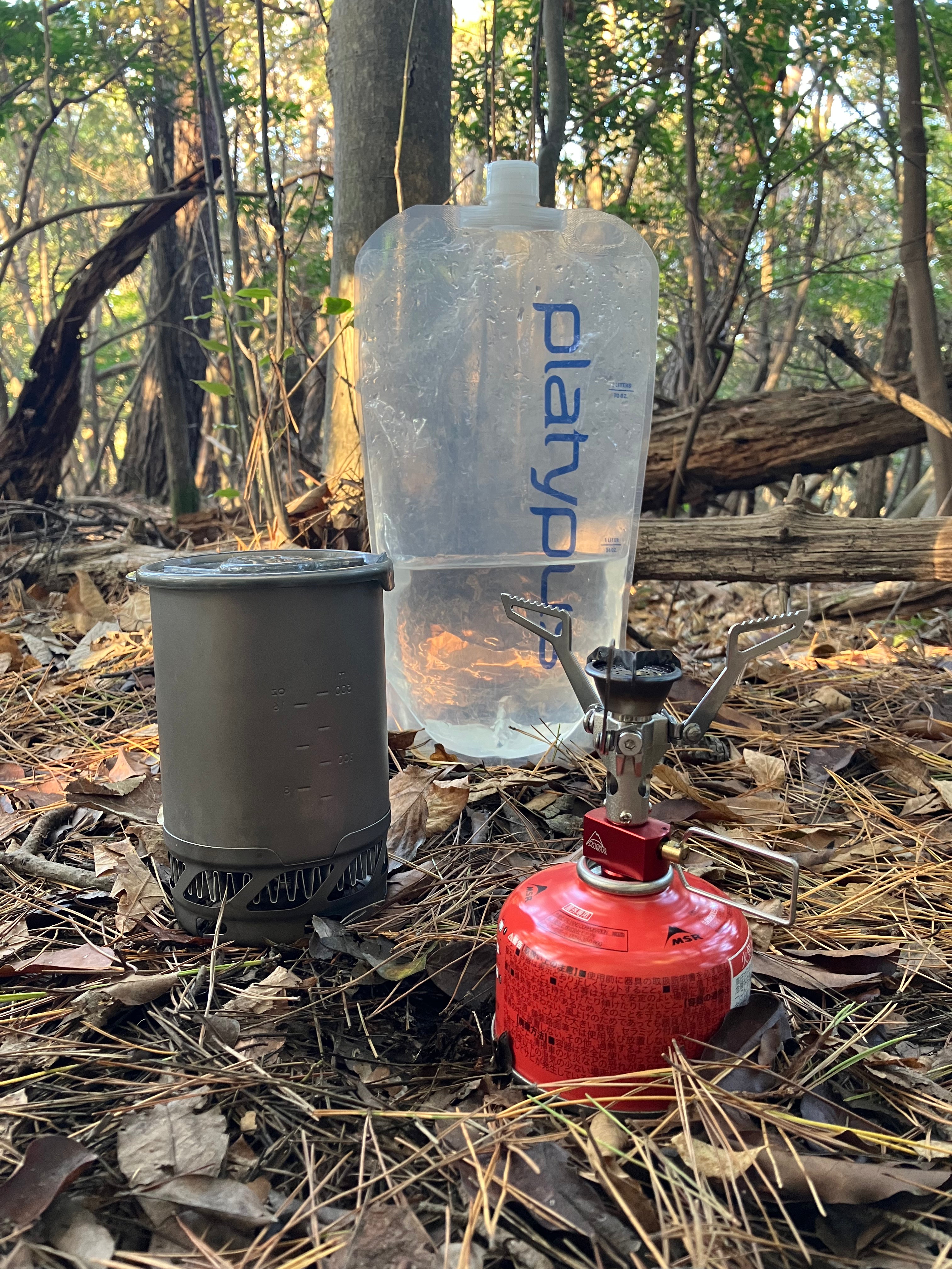 Platy Bottle 2L