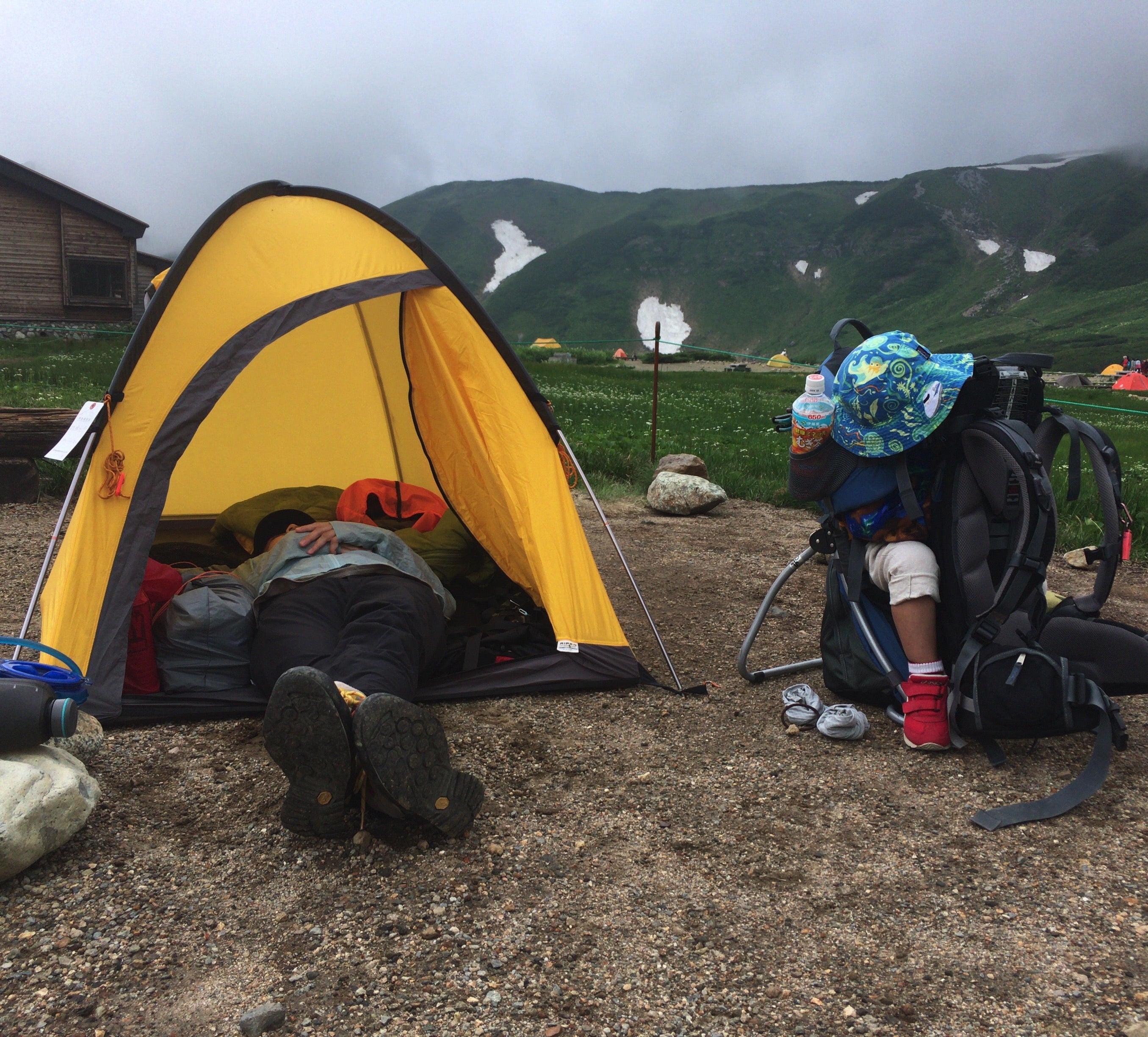 RAIZ1