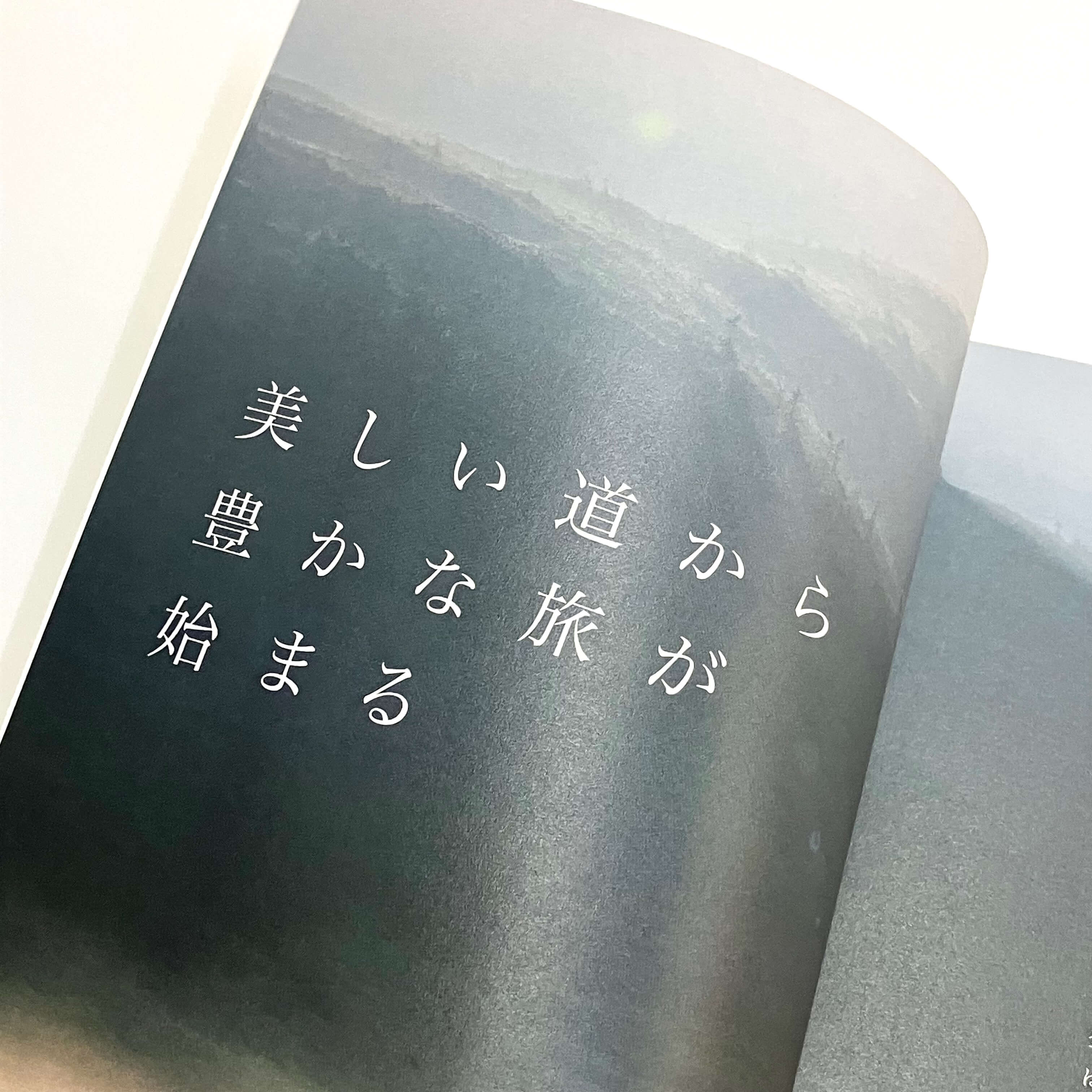 雲ノ平トレイルクラブ活動報告 vol.1 2021-2024