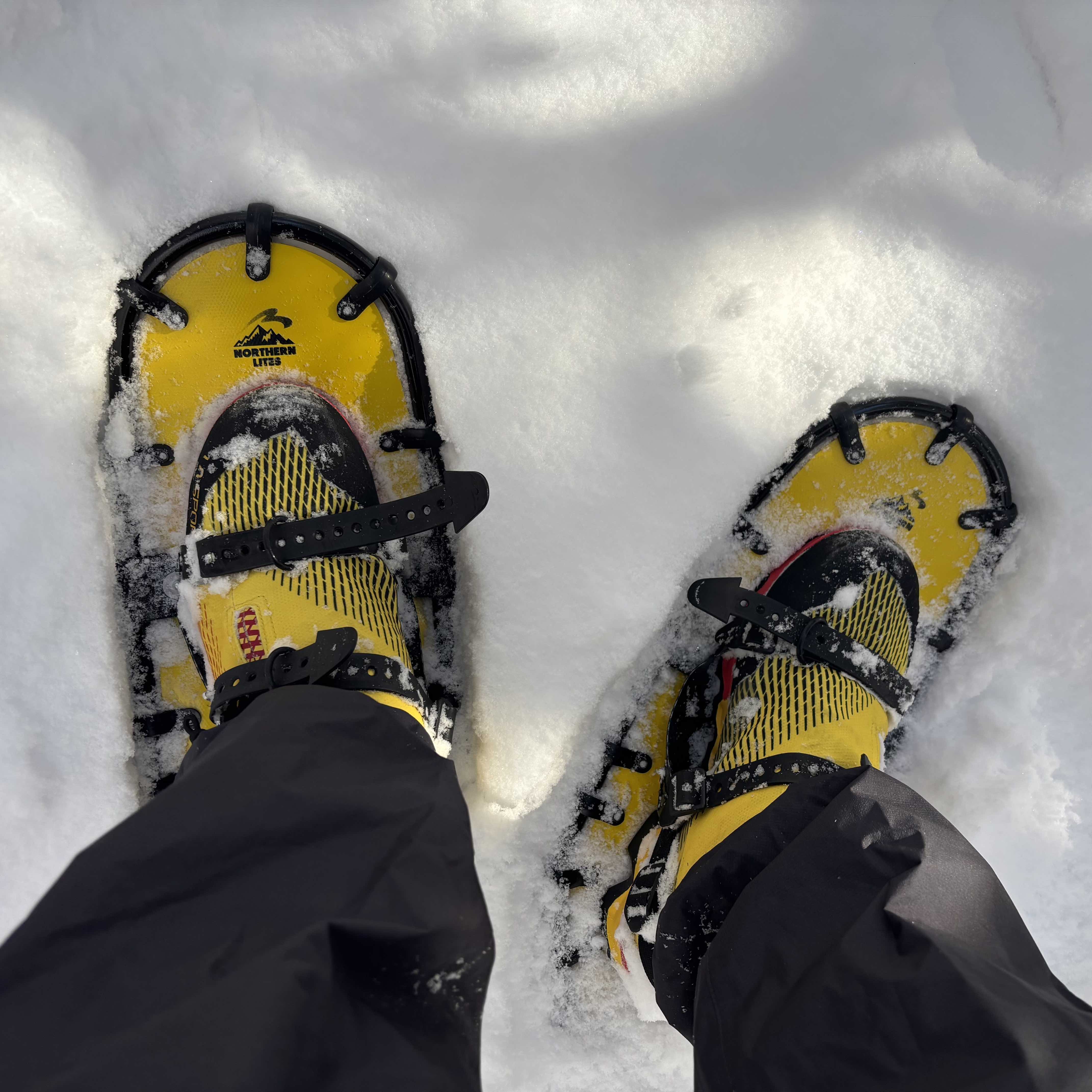 スノーシュー Race | ノーザンライトスノーシューズ | Northern Lite Snowshoes