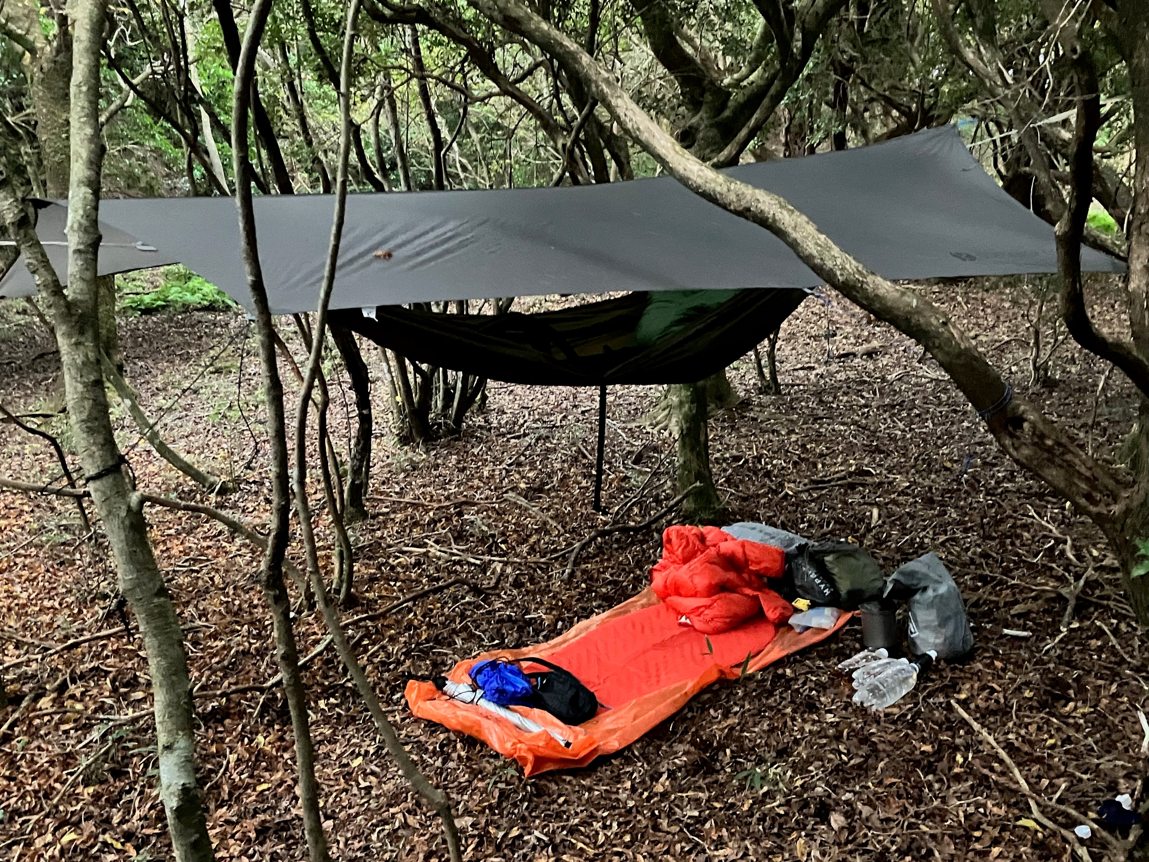 Solo Tarp