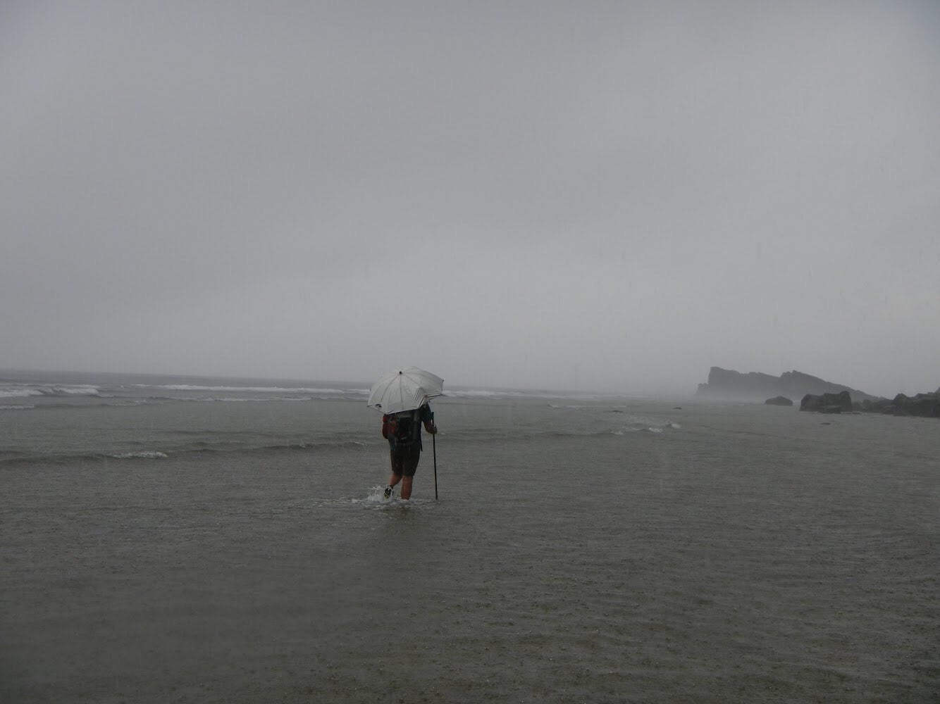 Swing Liteflex Umbrella