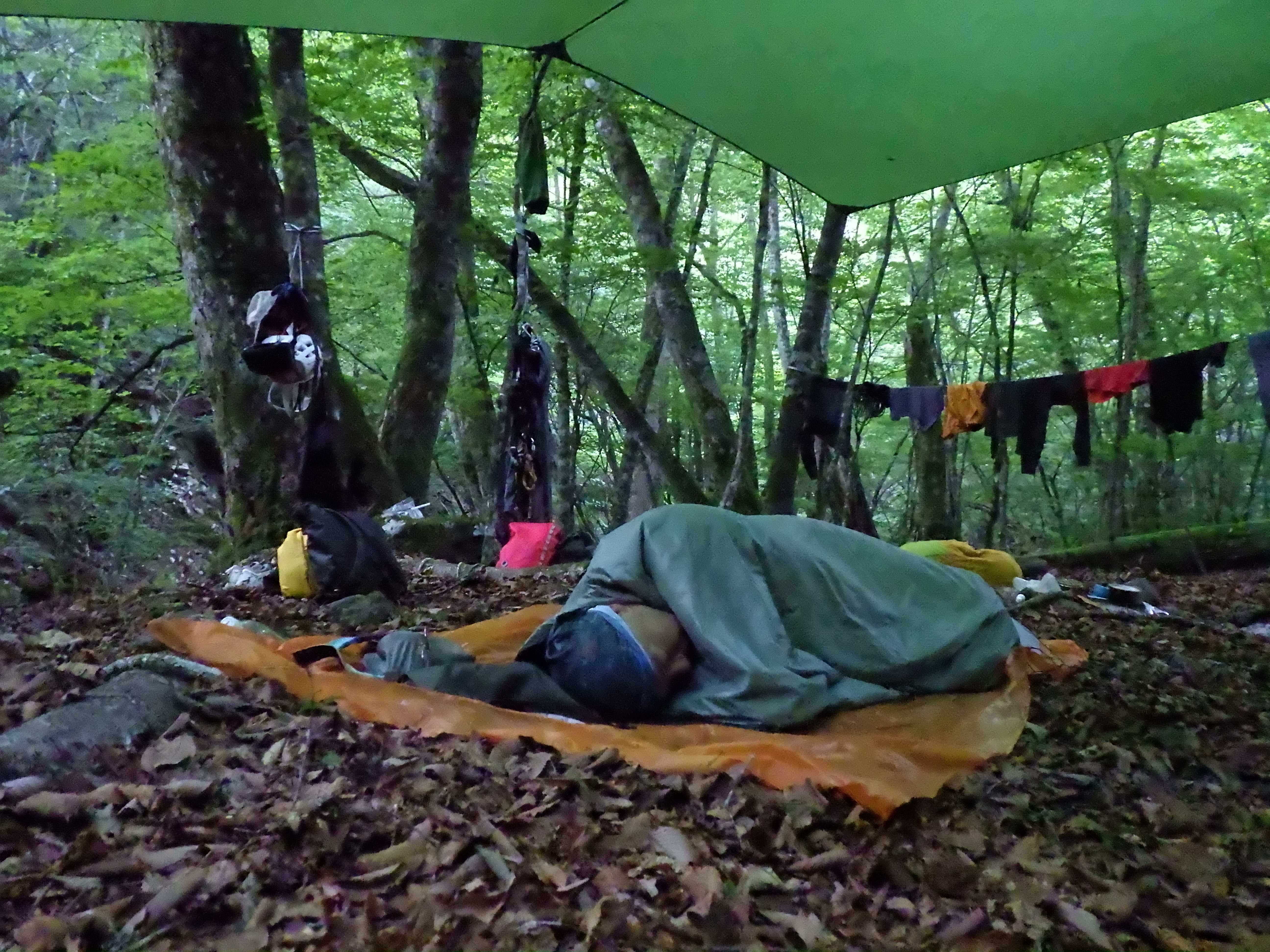 TOP QUILT