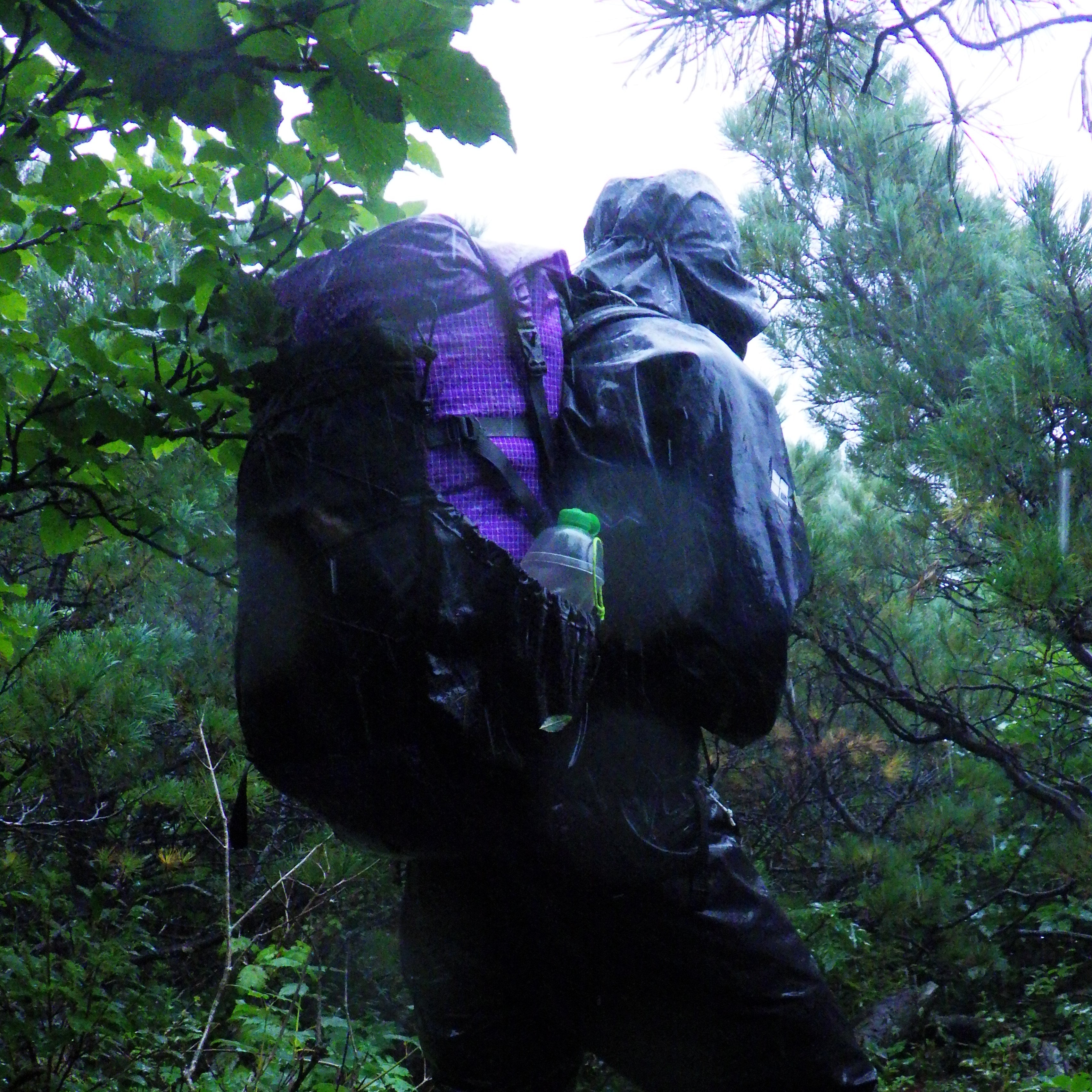 Walker Shell Pants | Trail Bum | ウォーカーシェルパンツ