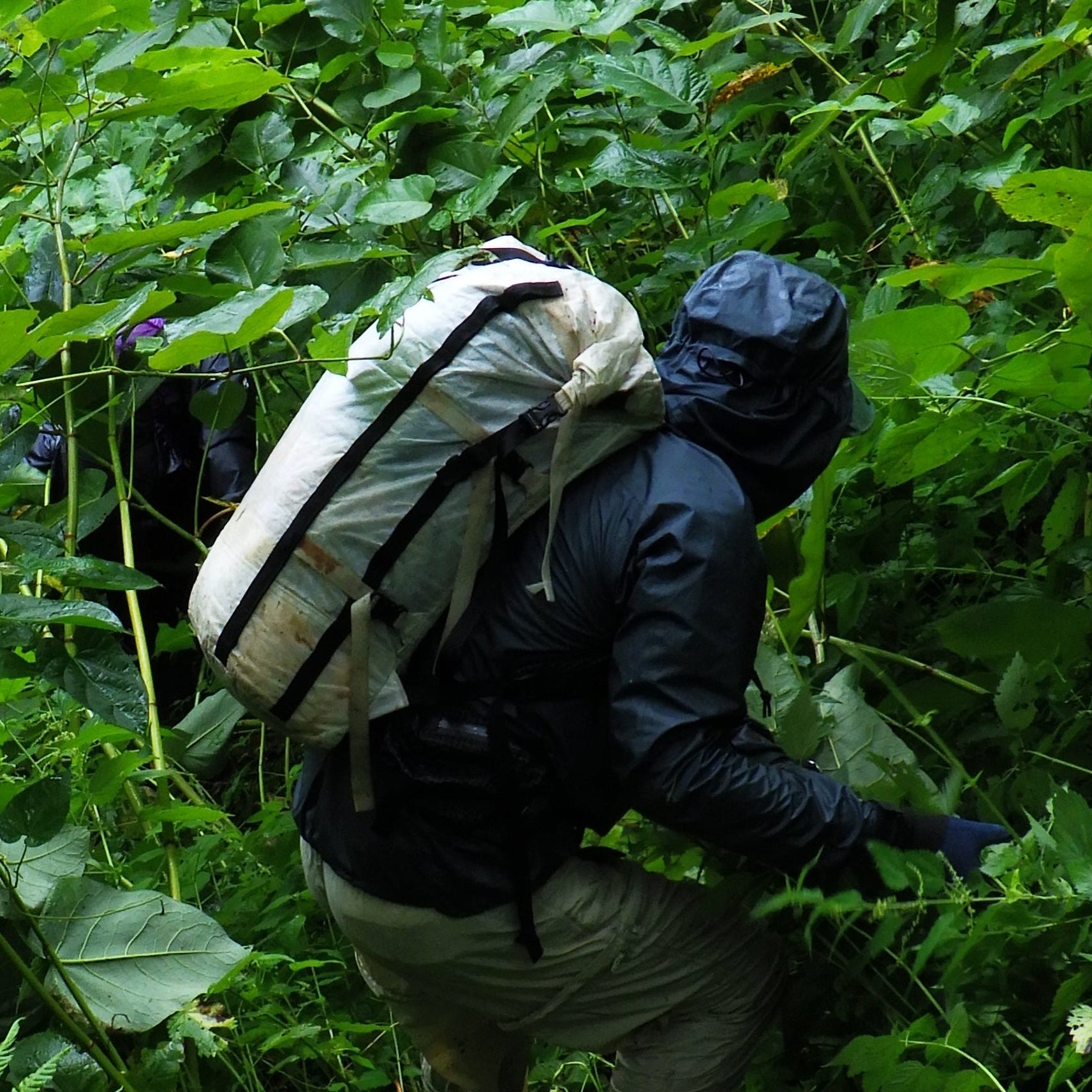Walker Shell Jacket | トレイルバム－Hiker's Depot｜ハイカーズデポ