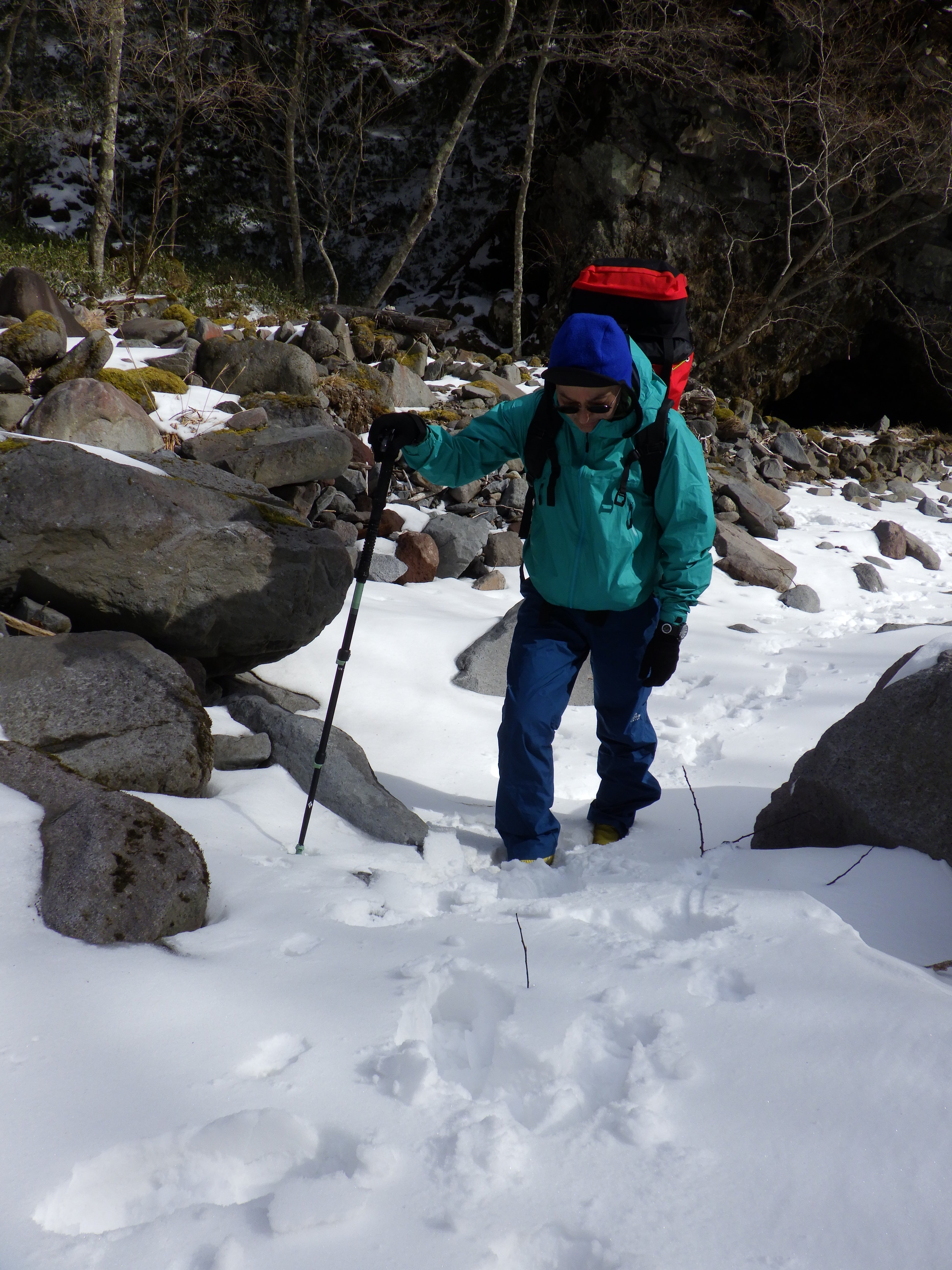 EXPEDITION 3 Whippet