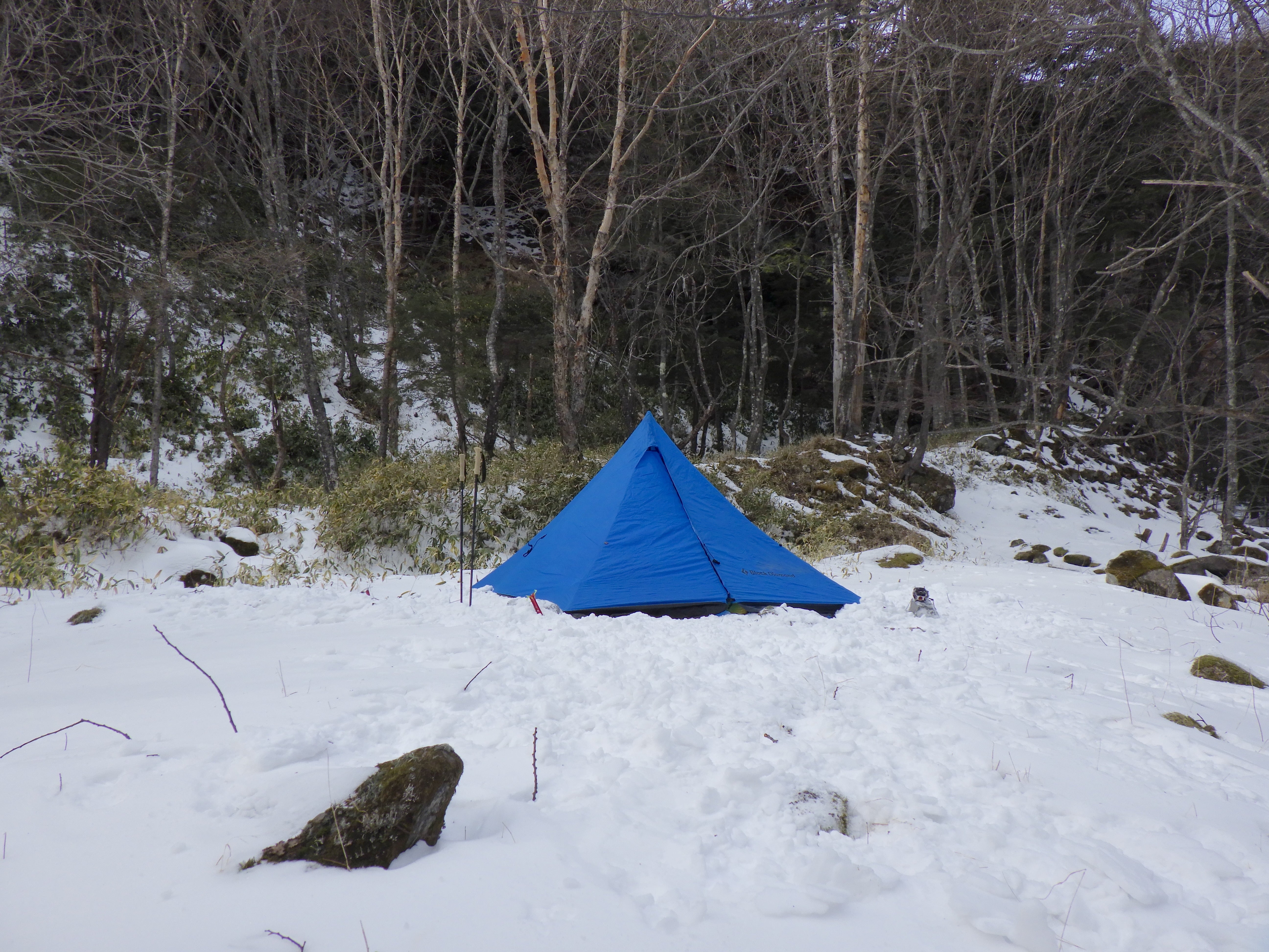 Mega Snow 4P | Black Diamond | メガスノー4P | ブラックダイアモンド