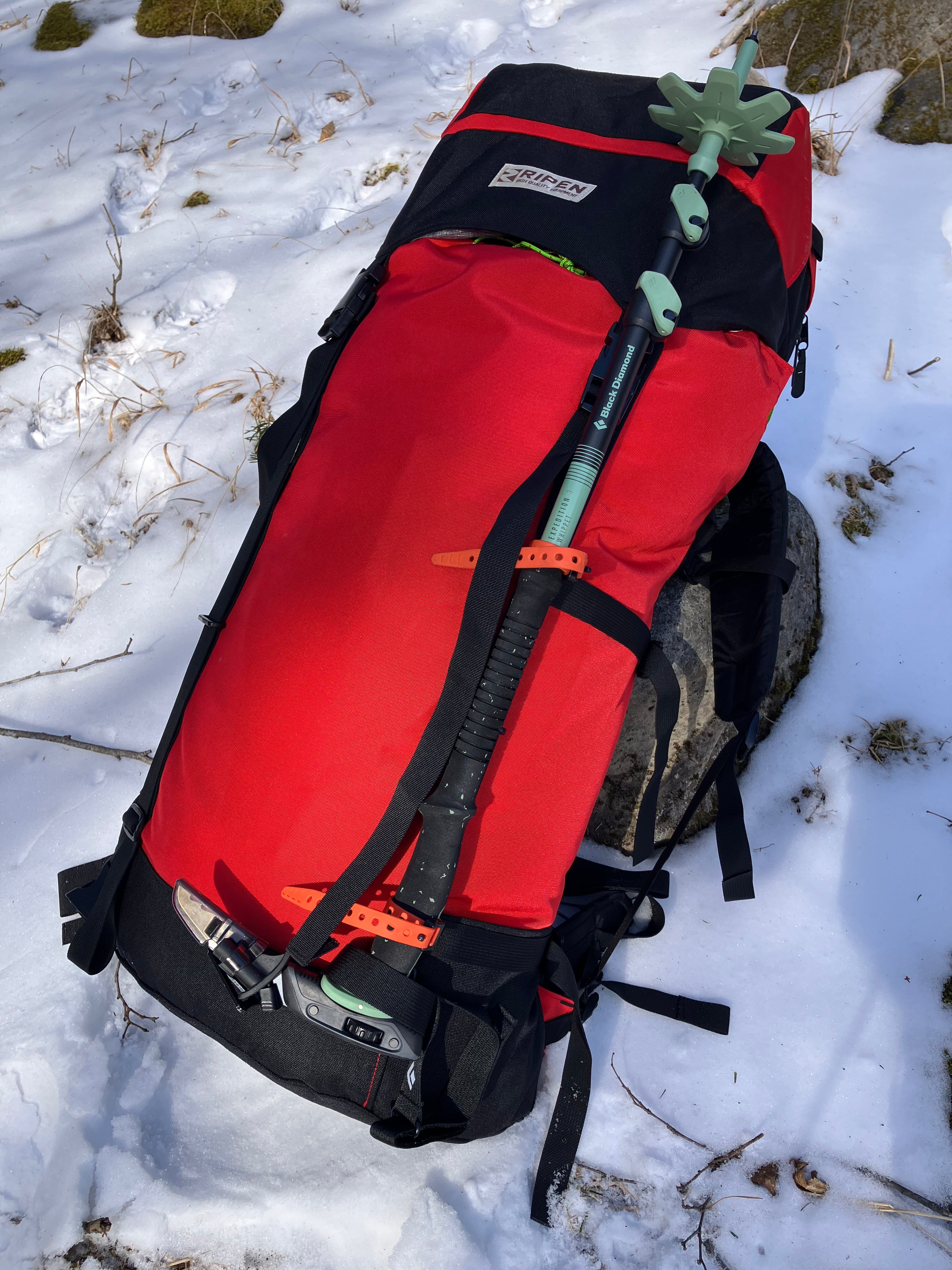 EXPEDITION 3 Whippet