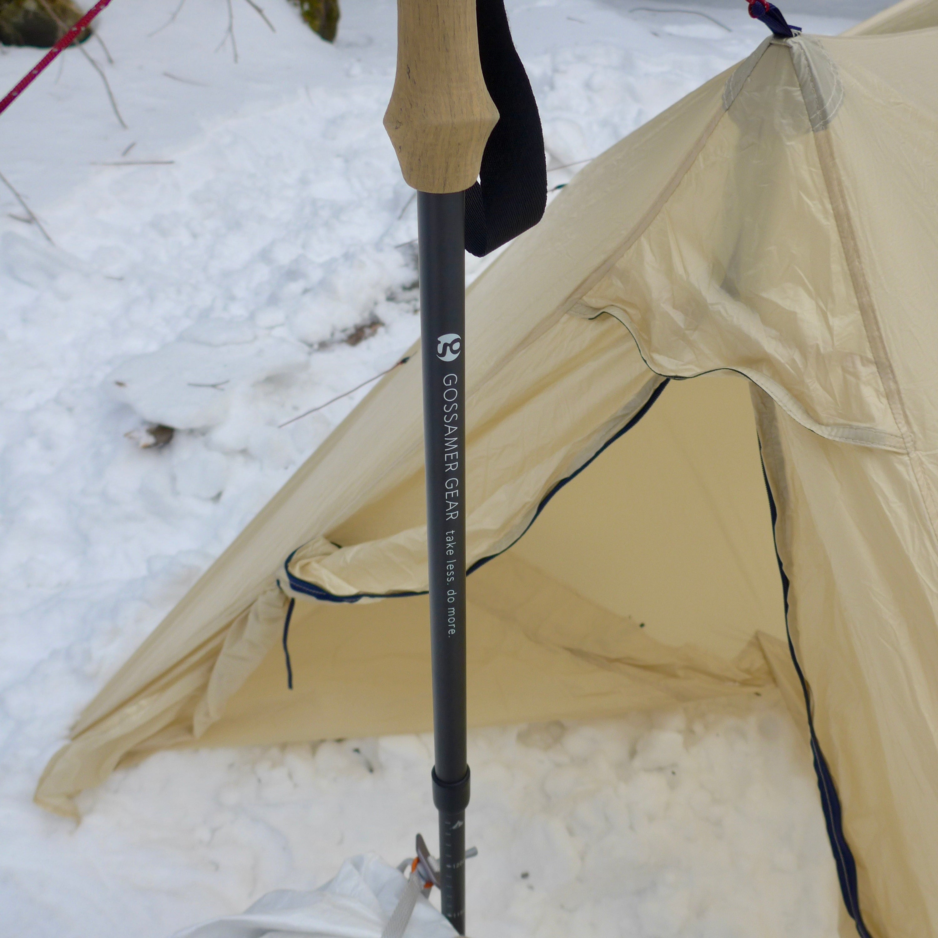 LT5 Trekking Poles