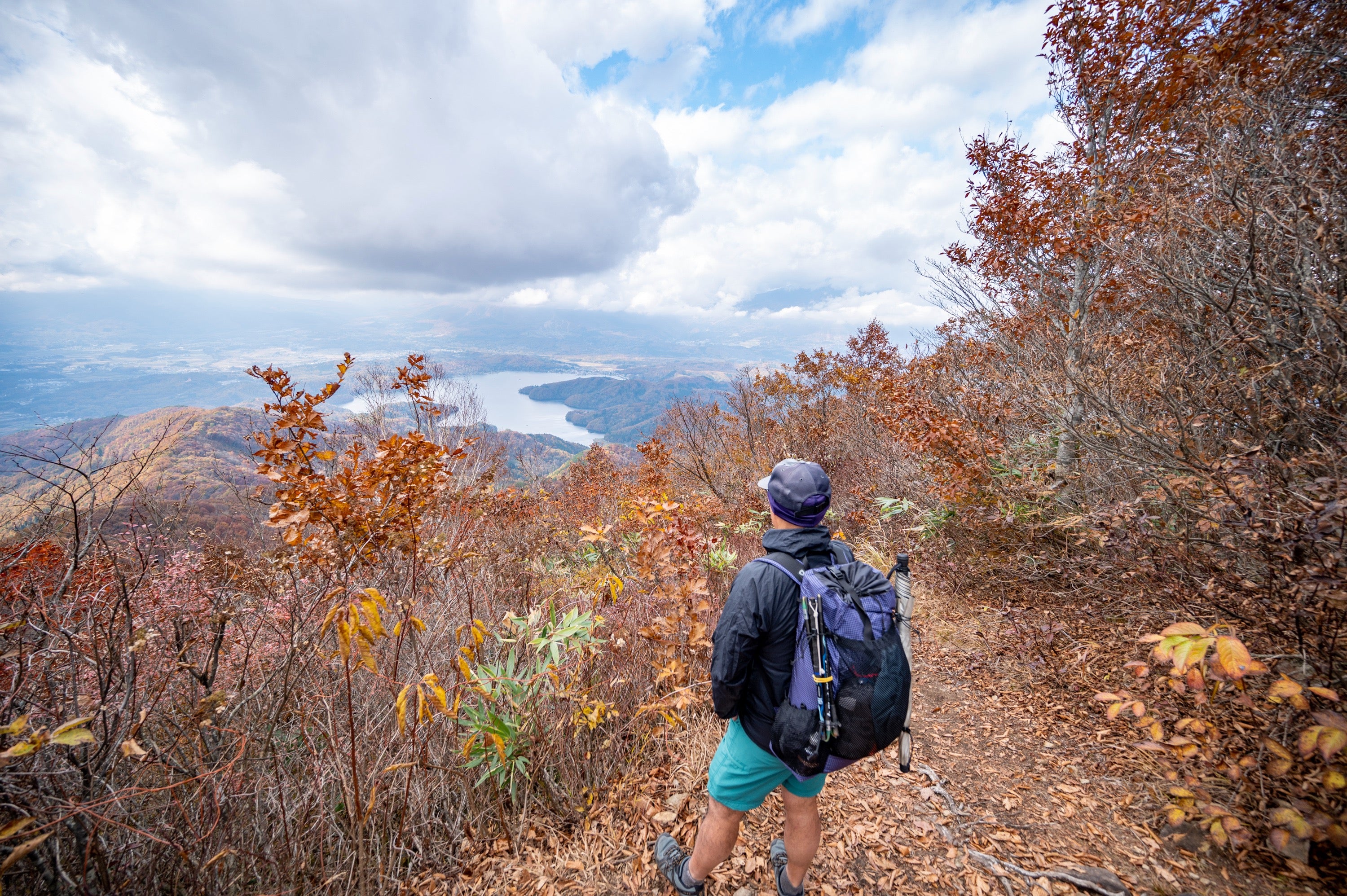 Swing Liteflex Umbrella