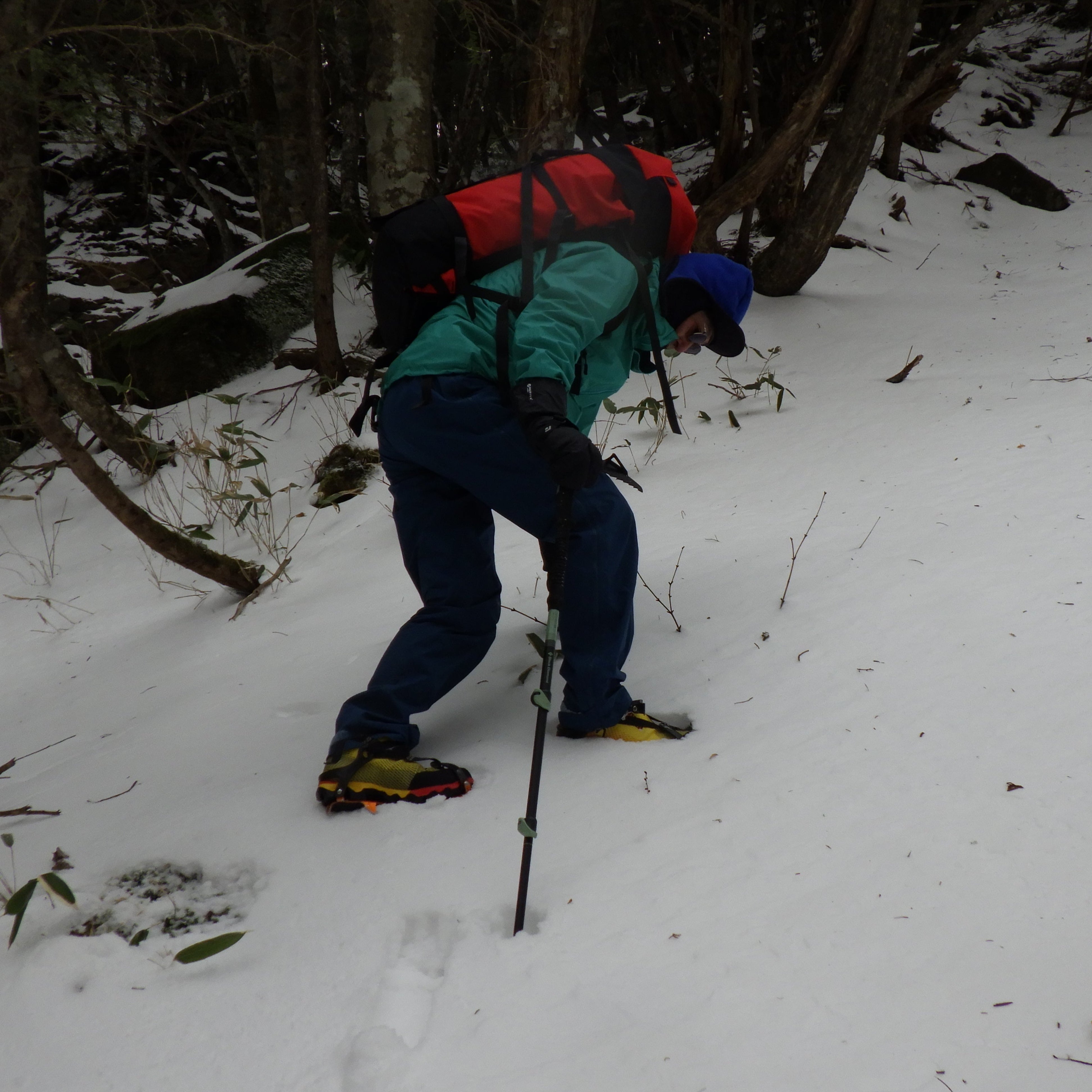 EXPEDITION 3 Whippet | Black Diamond | エクスペディション3