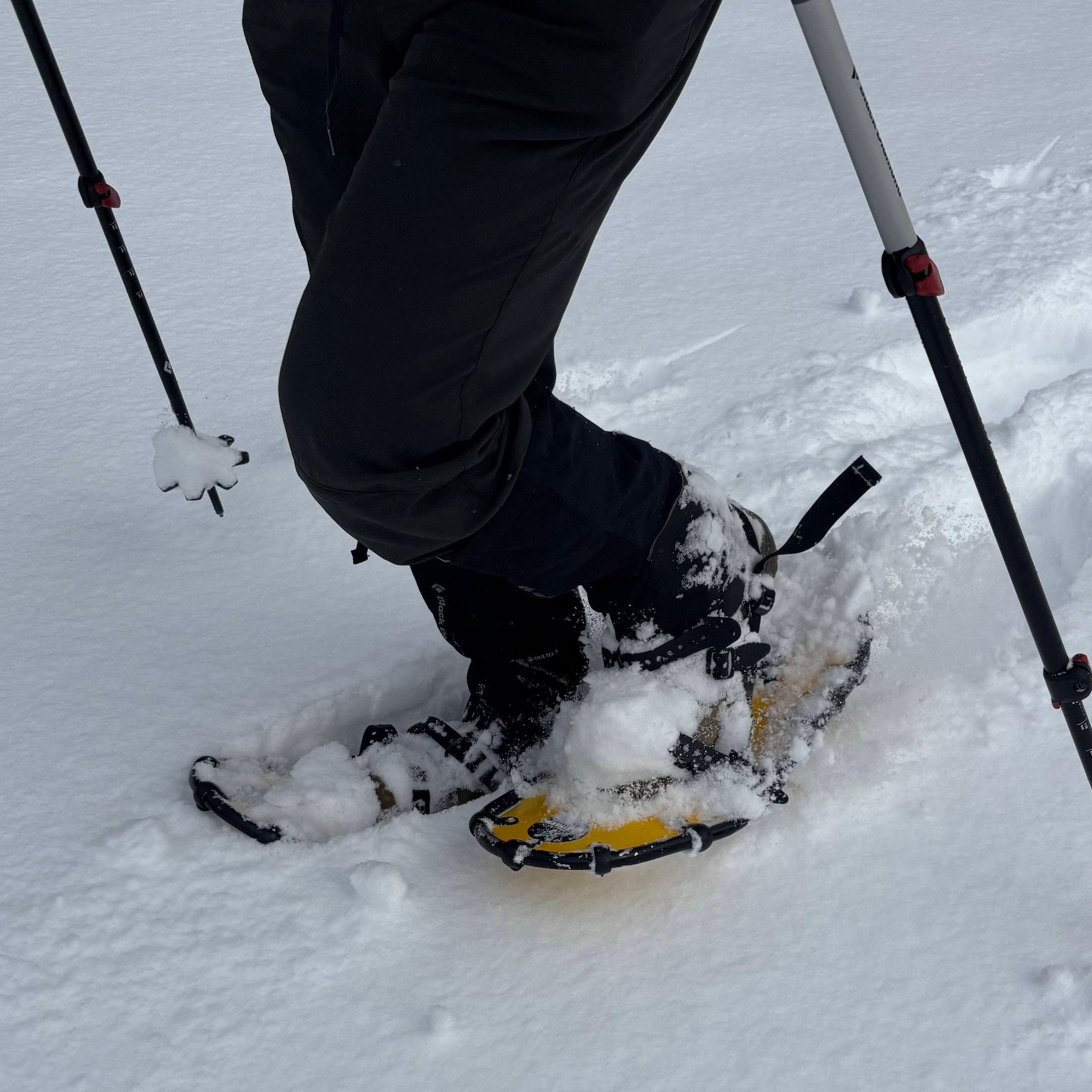 NORLITE ノーライト スノーシュー かんじき ブラック×シルバー 全長75cm スノートレッキング アウトドア 雪山 札幌市 新道東店 NORLITE DESIGNS】スノーシューTR - DOLLYVARDEN FLYSHOP