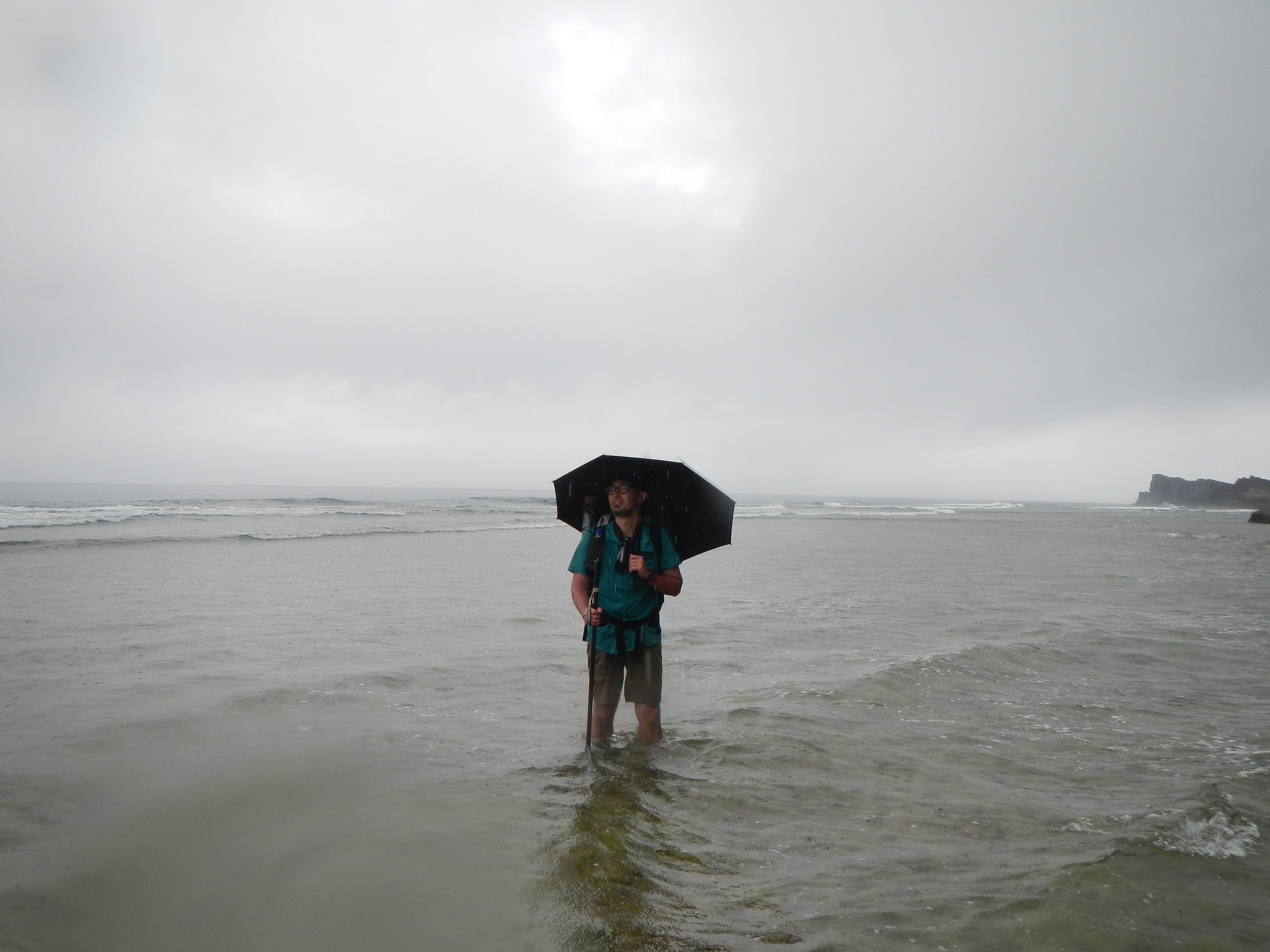 Swing Liteflex Umbrella