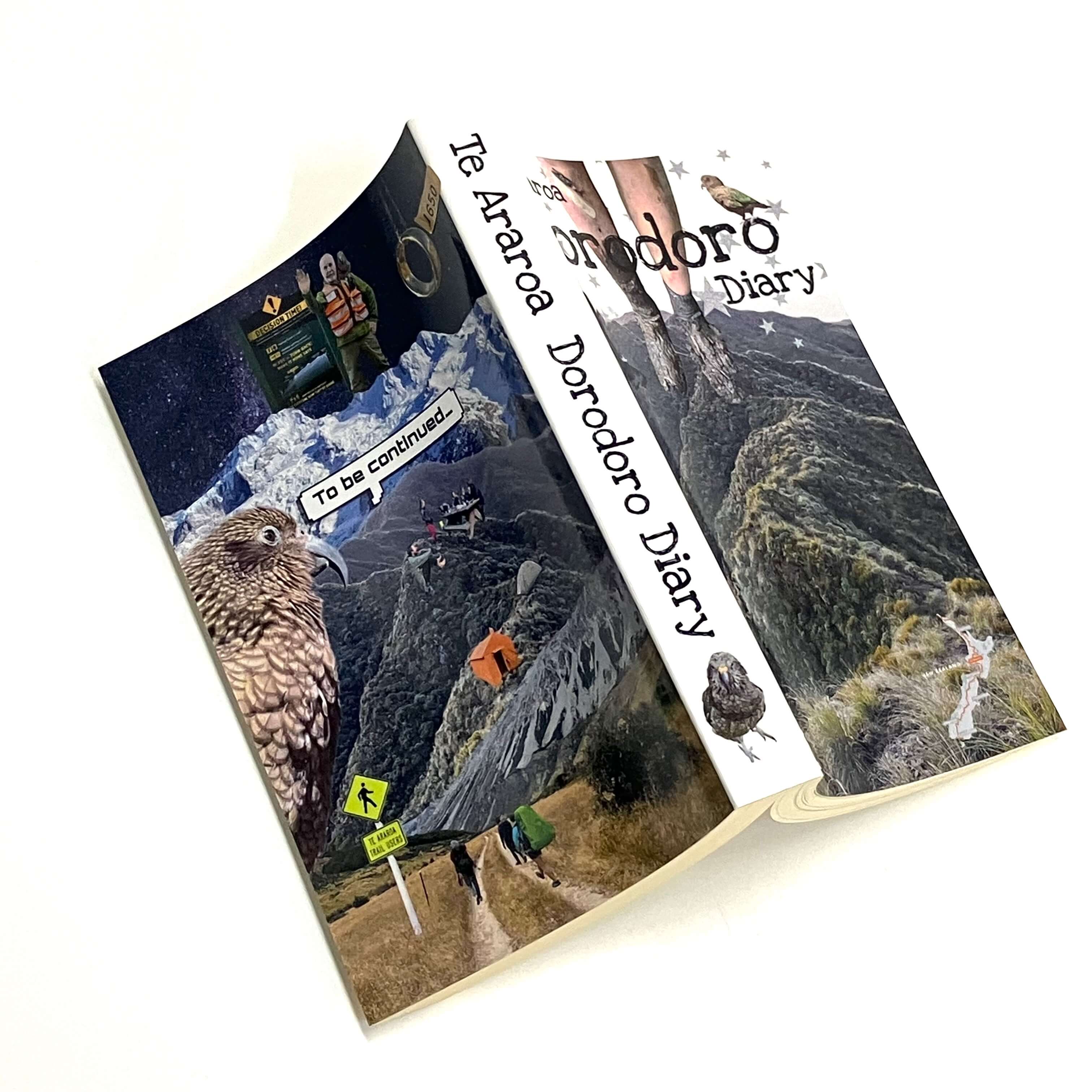 Te Araroa Dorodoro Diary